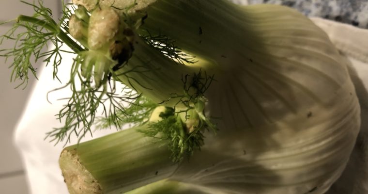 Fennel Salad